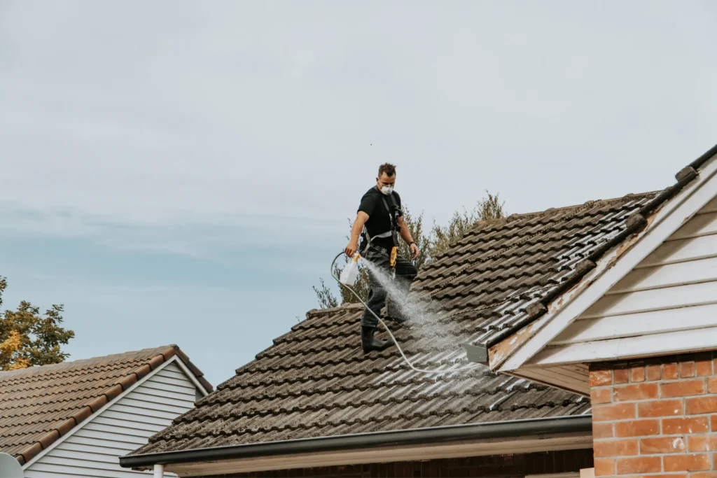 Moss treatment service on a residential roof