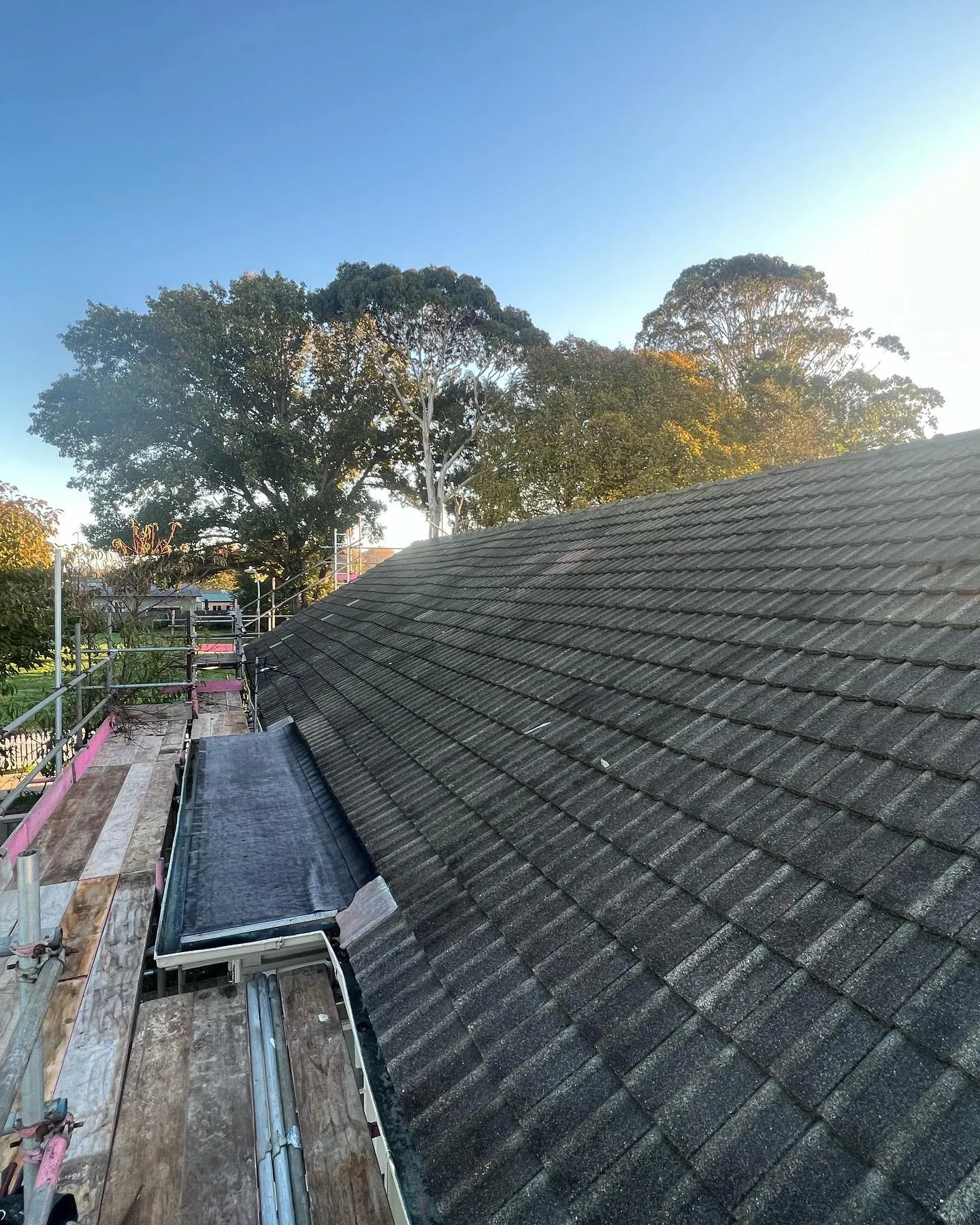Roof prior to repair